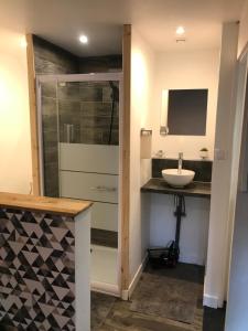 a bathroom with a sink and a shower at Le 21 TER in Amiens