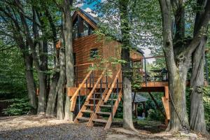 una casa en un árbol en el bosque con una escalera en Domek na drzewie Oddech, en Nałęczów