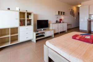 TV a/nebo společenská místnost v ubytování Montenegro Apartments Utjeha