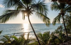 - une vue sur l'océan depuis une plage bordée de palmiers dans l'établissement Hekaya Zanzibar, à Pingwe