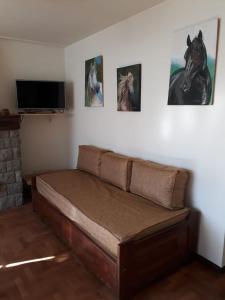 1 cama en una habitación con fotos de caballos en la pared en pampa en San Carlos de Bariloche
