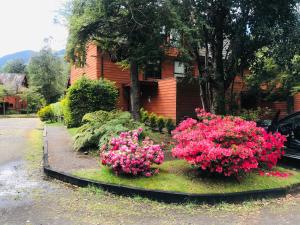 Jardín al aire libre en Espectacular casa condominio hermoso entorno Pucon