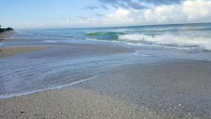 una playa de arena con olas chocando en la orilla en Casey Key Resort - Gulf Shores, en Venice