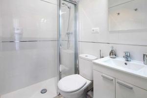 y baño con aseo, ducha y lavamanos. en Wanderlust Malaga Apartamentos Atico, en Málaga