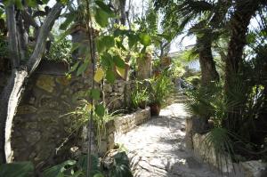 a garden with palm trees and a stone wall at Villa Eva in Anacapri