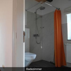 UlsnisにあるFerienhaus-Krohn-Schleiblickのバスルーム(トイレ、オレンジ色のシャワーカーテン付)