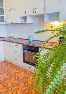 a kitchen with white cabinets and a black oven at Rent Kiev Apartment 2 min metro Chernihivska in Kyiv