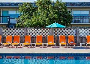 a row of chairs and an umbrella next to a pool at Harbor Hotel Provincetown in Provincetown