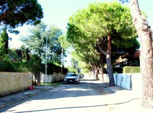 The surrounding neighborhood or a neighborhood close to the holiday home