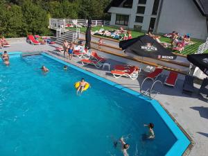 un grupo de personas en una piscina con un frisbee en Pensiunea Almas, en Piatra Neamţ