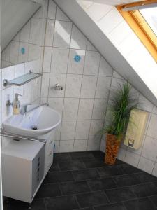 a bathroom with a sink and a potted plant at Ferienwohnung-Thielen-Waldrach-Ruwertal in Waldrach