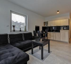 Kuchyň nebo kuchyňský kout v ubytování Apartament Kopydło