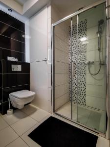 a bathroom with a glass shower and a toilet at Apartament Kopydło in Wisła