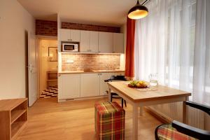 Kuhinja ili čajna kuhinja u objektu APARTMÁNY ADAM
