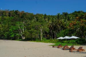 Naturlandschaft in der Nähe des Resorts