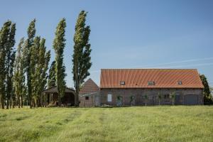 a barn with a row of trees in a field at vakantiewoning onZENhof in Heuvelland
