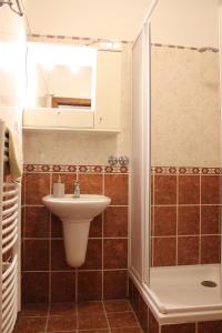 Kúpeľňa v ubytovaní Vila Bellevue