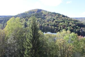 Priroda u blizini apart-hotela
