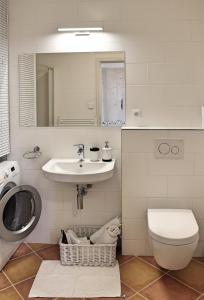 La salle de bains est pourvue d'un lavabo, de toilettes et d'un miroir. dans l'établissement St. Prokop Luxury Apartments 256, à Boží Dar