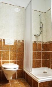 uma casa de banho com um WC e um chuveiro em Vila Bellevue em Luhačovice