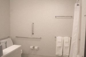 a bathroom with a toilet and a shower with towels at Holiday Inn Express & Suites - Kokomo South, an IHG Hotel in Kokomo