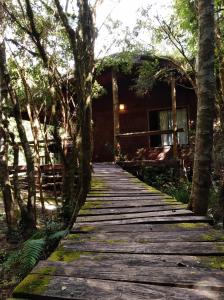 ein Holzsteg, der zu einer Hütte im Wald führt in der Unterkunft Cabaña en Río Puelo in Puelo