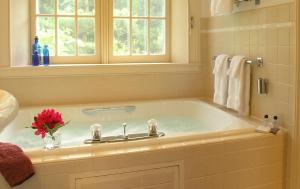 a bathroom with a bath tub with a window at Brampton 1860 in Chestertown
