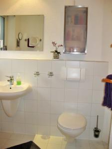 uma casa de banho com um WC, um lavatório e um espelho. em Ferienhaus-in-Rotenburg em Rotemburgo do Wumme