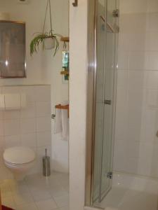 uma casa de banho com um WC e uma cabina de duche em vidro. em Ferienhaus-in-Rotenburg em Rotemburgo do Wumme