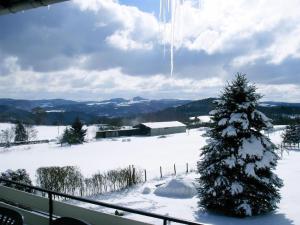 Ferienwohnung-Nuerburgblick في Reifferscheid: حقل مغطى بالثلج مع شجرة عيد الميلاد