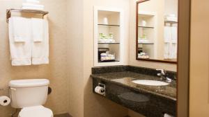 a bathroom with a toilet and a sink and a mirror at Holiday Inn Express Turlock, an IHG Hotel in Turlock