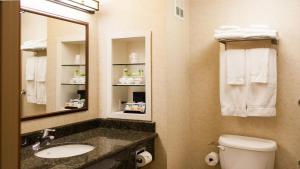 La salle de bains est pourvue d'un lavabo, d'un miroir et de toilettes. dans l'établissement Holiday Inn Express Turlock, an IHG Hotel, à Turlock