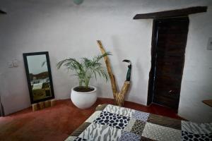 Zimmer mit Topfpflanze und Spiegel in der Unterkunft Domo 1 en la selva a 3 km de Minca in Minca