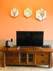 a flat screen tv sitting on top of a wooden entertainment center at Starlight Forest B&B in Jinshi