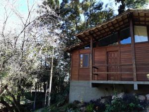 una cabaña de madera en el bosque con árboles en Chalezinho Pedra Azul, en São Pedro da Serra