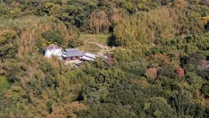 Vue aérienne d'une maison au milieu d'une forêt dans l'établissement 猫と図書館のある宿 草地家 Kusachike, à Minamiawaji