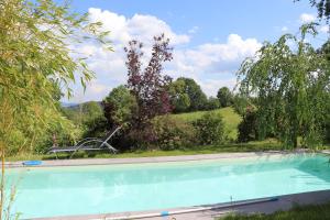 a swimming pool in a yard with trees and a hill at FEWO-im-sanierten-Fachwerkhaus in Müglitztal
