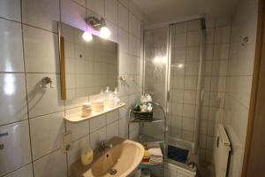 ein Bad mit einem Waschbecken, einem Spiegel und einer Dusche in der Unterkunft Kleine Fewo Ebert&Green in Neudorf