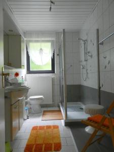 La salle de bains est pourvue d'une douche, de toilettes et d'un lavabo. dans l'établissement Ferienwohnung-im-Teutoburger-Wald, à Schieder-Schwalenberg