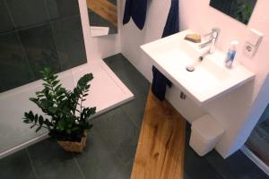 ein Badezimmer mit einem Waschbecken, einem WC und einer Pflanze in der Unterkunft Altstadt Ferienwohnung Torgau in Torgau