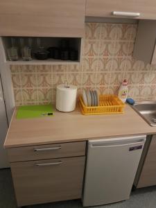 a kitchen with a counter top with a sink and a counter at EBU 28 in Rīga +3 photos