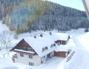 a house is covered in snow with trees at Ferienwohnung-Nr-1 in Vöhrenbach