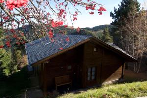 a small cabin with red berries on the roof at Cabana Coll Sisé in La Molina