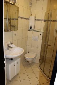 a bathroom with a toilet and a sink and a shower at Direkt-am-Suedstrand in Burgtiefe auf Fehmarn 