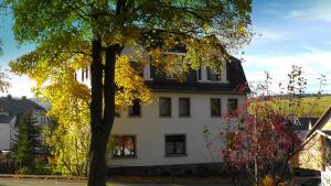 ein weißes Gebäude mit einem Baum davor in der Unterkunft Kleine Fewo Ebert&Green in Neudorf