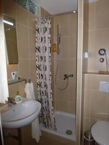 W łazience znajduje się prysznic, umywalka i toaleta. w obiekcie Ehlershus w mieście Reit im Winkl