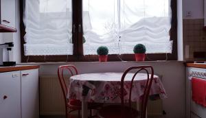バート・カンベルクにあるSunshine Bad Cambergのキッチン(テーブル、椅子2脚、窓2つ付)