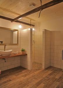 a bathroom with a sink and a mirror at Ferienhaus-Rotdorn-Haus-Sued in Strukkamp auf Fehmarn