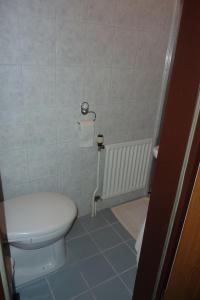 a small bathroom with a toilet in a room at Ferienwohnung-Marita in Carolinensiel