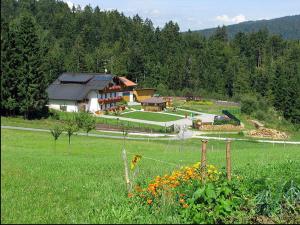 a house in the middle of a field with flowers at Haus-Spannbauer-Wohnung-Fuchsenstein in Altreichenau